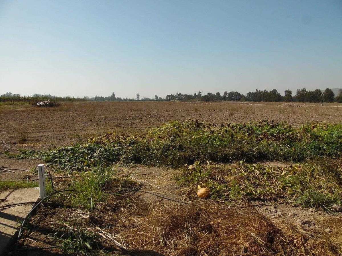 Camino el Oliveto, ,Parcela,En Venta,Camino el Oliveto,1023